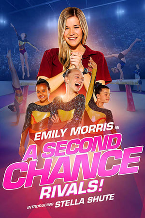 A Second Chance Rivals! 2019 Hindi Dual Audio [820MB] HD Poster Download - filmyfly