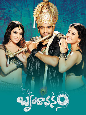 Brindavanam (The Super Khiladi) (2010) (Hindi – Telugu) Dual Audio [1.4GB] HD Poster Download - filmyfly
