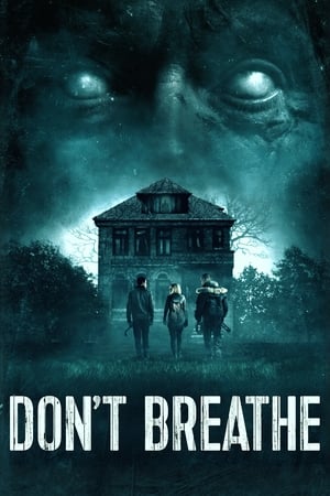 Don't Breathe (2016) Hindi Dual Audio [850MB] HD Poster Download - filmyfly