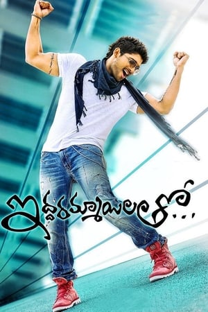 Iddarammayilatho (2013) (Hindi – Telugu) Dual Audio 450MB HD Poster Download - filmyfly