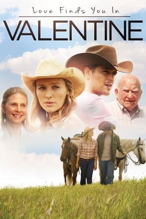 Love Finds You in Valentine (2016) Hindi Dual Audio 300MB HD Poster Download - filmyfly