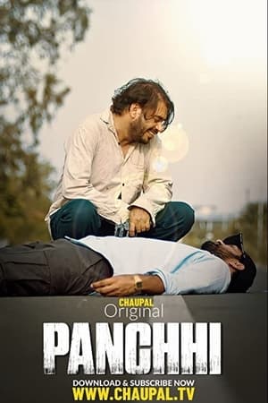 Panchhi 2021 Punjabi Audio HD Poster Download - filmyfly